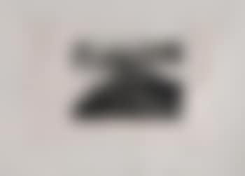 Death of a Dog (preview)