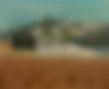 Paysage de Provence, la vigne en hiver (preview)