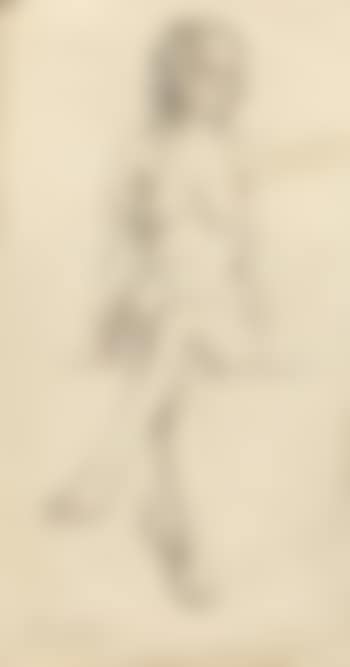 Female nude (preview)
