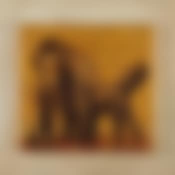 Couple d’éléphants (preview)