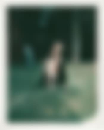 Brigitte and Roxanne (preview)
