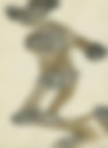 Der Springer (preview)
