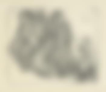 Bretonischer Bettler (preview)