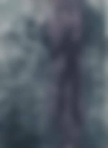 Untitled (B.82.P; R/G.41) (preview)