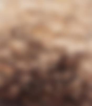 Campo de sepia (preview)