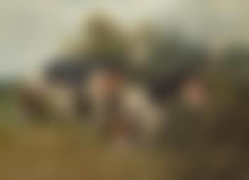 The Tufters (preview)