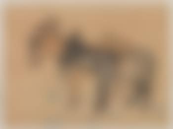 Zwei Esel (preview)