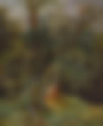 Knorriger Baum auf Waldlichtung (preview)