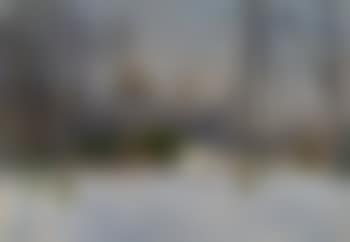Der Reichstag in Berlin (preview)