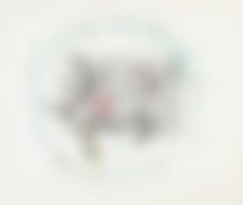 Pl. 11, from Fissures (preview)
