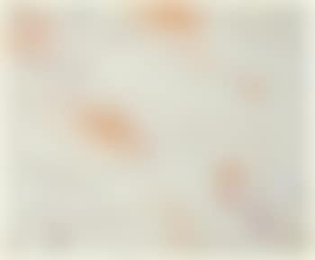 One Plate, from Dutch Hearts (preview)