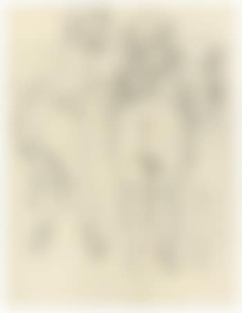 Weibliche Akte (preview)