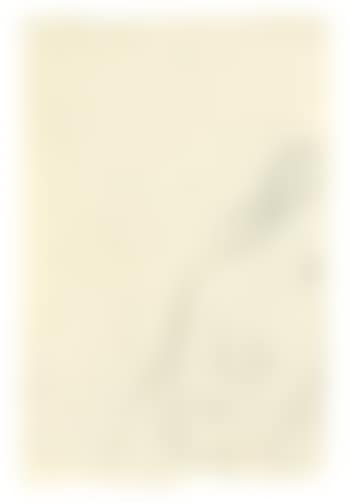 Ohne Titel (Weiblicher Akt) (preview)