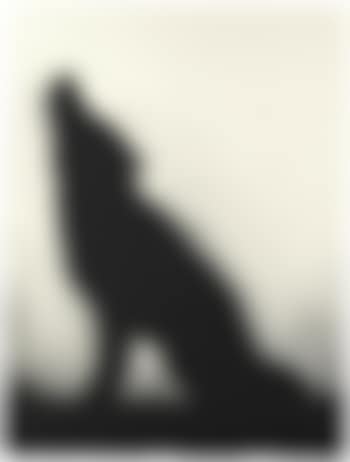Coyote (preview)