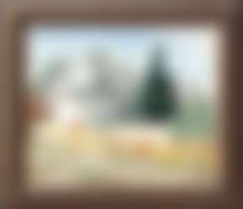 Paysage de Saint Rémy de Provence (preview)