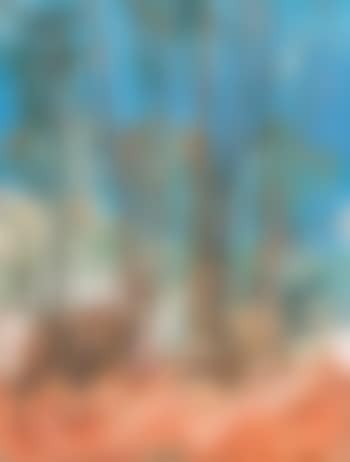 Shoalhaven Hillside (preview)
