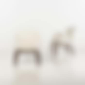 Swan model 4325 (preview)
