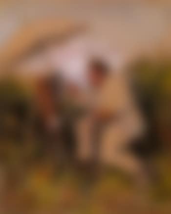 Amateur Artist Working en Plein Air (preview)