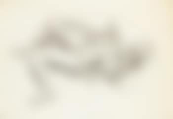 Reclining Nude (preview)