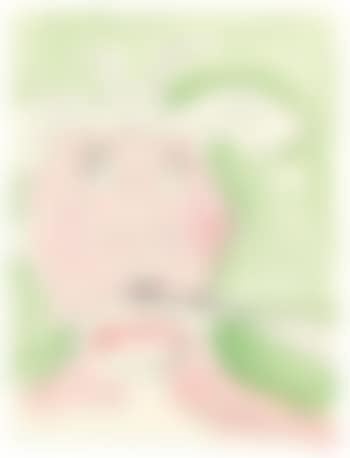 Sir Lady (preview)
