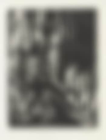 Mann Mit Tanne (preview)