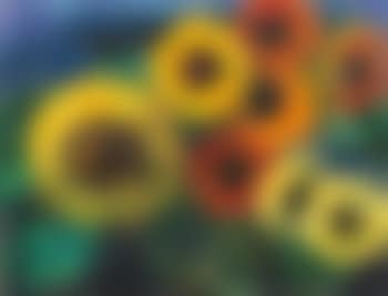 Leuchtende Sonnenblumen (preview)