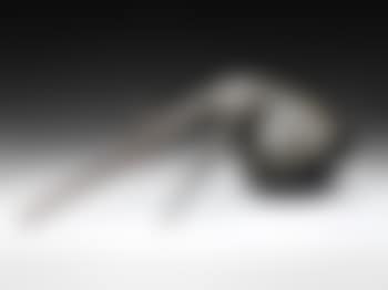Chiaroscuro (preview)