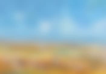Sunny day (preview)