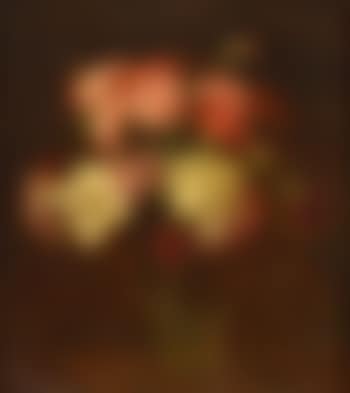 Bouquet d'oeillets (preview)