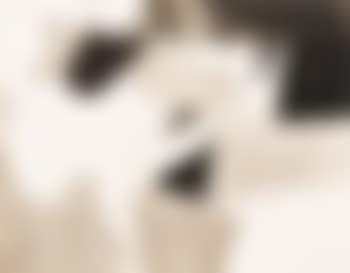 Naakt (preview)