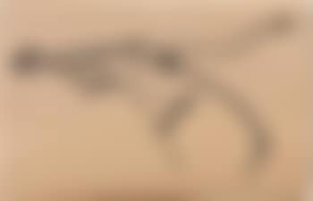 Cavallo profilo (preview)