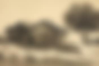 Saïgon (preview)