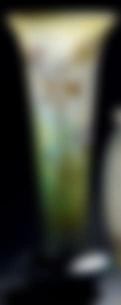 Vase à long col conique évasé sur panse ovoïde aplatie et talon annulaire (preview)