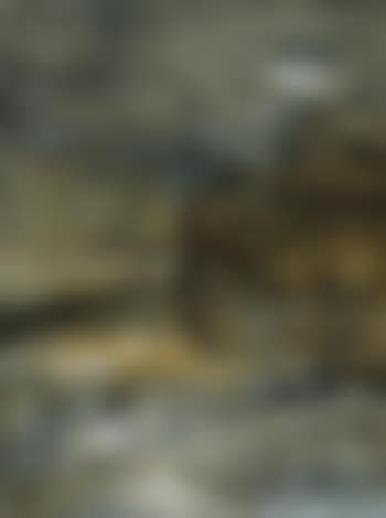 Beaulard (preview)