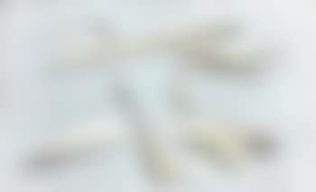 [Untitled] (preview)