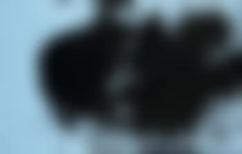 T1981-H47 (preview)