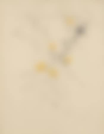 Concetto spaziale (preview)