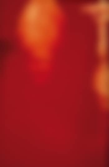 Red pope (preview)