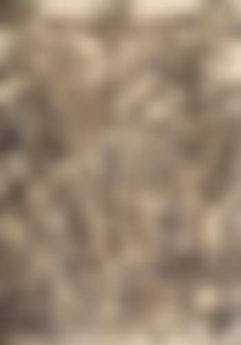 La Crucifixion (preview)