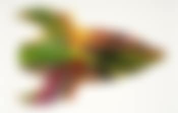 Rocket Spin Art (preview)