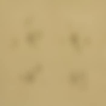 Waterdrops (preview)