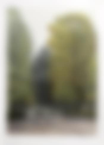Bridle path (preview)