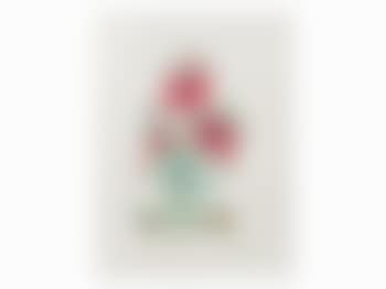Dianthus Caryophillius (preview)