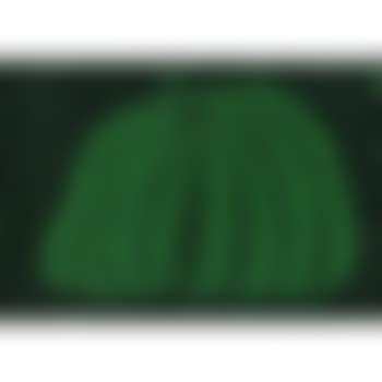 Green pumpkin (preview)