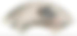 Landscape (preview)