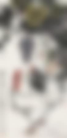 Roosters (preview)