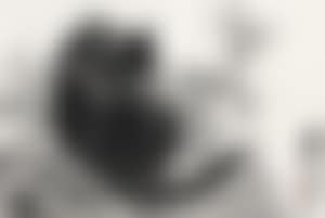 Cat (preview)
