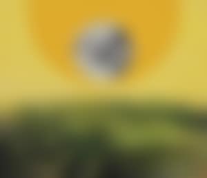 The Meeting (preview)