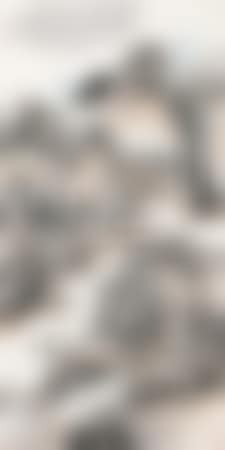 Landscape (preview)