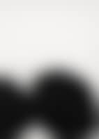 Black Lemons (preview)